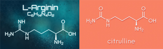 Arginin und Citrullin