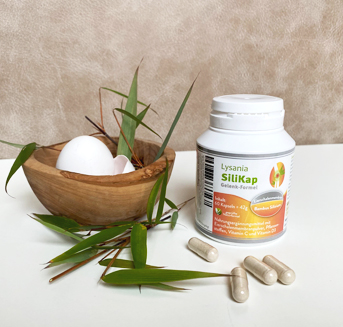 SiliKap Gelenk-Formel